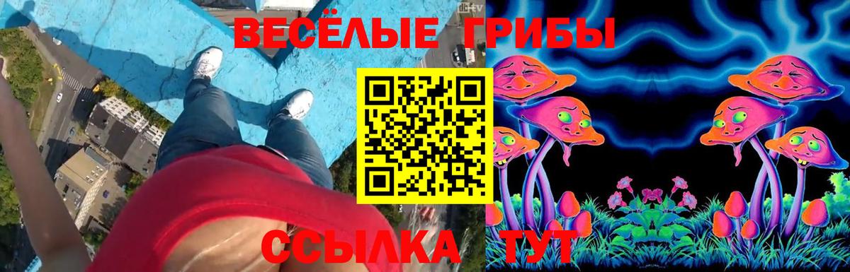 Псилоцибиновые грибы мицелий  Галлюциногенные грибы мицелий  Вход с VPN  Шали 