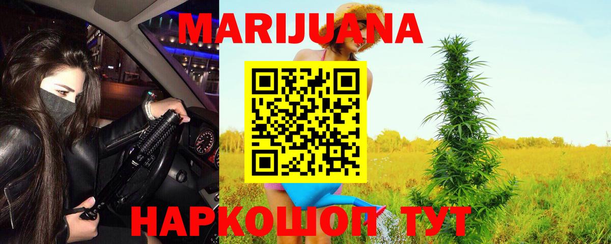 Конопля LSD WEED  Марихуана конопля  Конопля сатива  Шали  Вход с VPN  Каннабис White Widow 